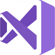 Microsoft Visual Studio Professional 2019 (для государственных организаций: Лицензия Open License), English Level A