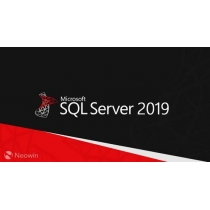 Microsoft SQL Server CAL 2017 (для государственных организаций: Лицензия Open License), English Level C User