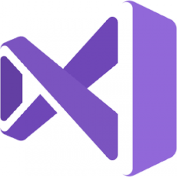 DG7GMGF0D3SJ:0003 Microsoft Visual Studio Professional (бессрочная лицензия), версия 2022